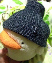 Supreme  | ニットキャップ/ビーニー