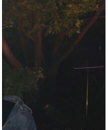 CHROME HEARTS | ピアス（片耳用）