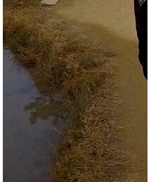 American Eagle | デニムパンツ