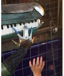 MARKEY'S | キャップ