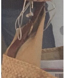 IL BISONTE | バッグ