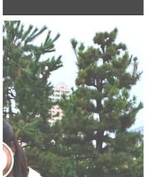 ehka sopo | トレンチコート