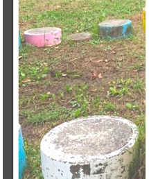 mellowneon | ワンピース