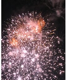 花火 | その他