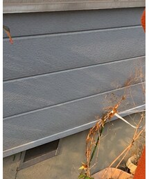 KANGOL | トップス