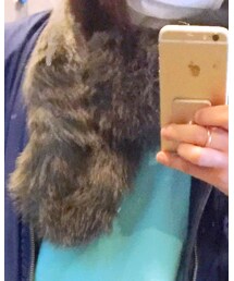 UNIQLO | マフラー