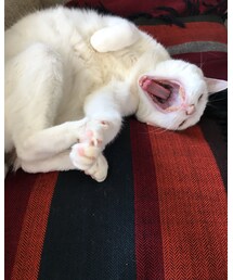 Uちゃん | Uちゃん(その他)