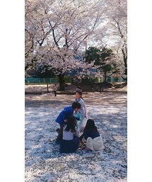 サクラ吹雪(その他)