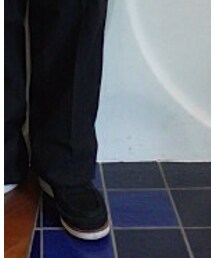 Inpaichthys kerri | ブーツ