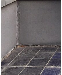 SASQUATCHfabrix. | ブーツ