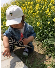 ありんこ♡いたー | その他