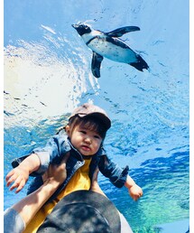 空中ペンギン♡ | その他