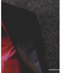 Confirm | チェスターコート