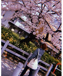 桜が綺麗な季節🌸 | 桜が綺麗な季節🌸(その他)