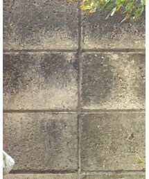 TOMMY HILFIGER | ニット/セーター