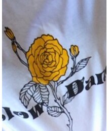 ZARA | Tシャツ/カットソー