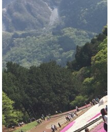 31と飴ちゃん舐めて | ワンピース