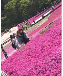 80m 一休みしたなら | スリッポン