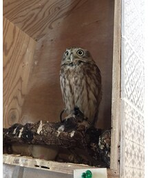 塩対応でお出迎え | その他