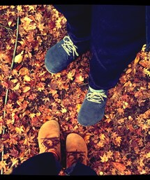 紅葉ー | 紅葉ー(その他)