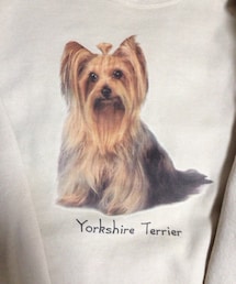 古着 | ヨークシャーテリアのスウェット(スウェット)