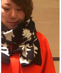 DEVASTEE | マフラー