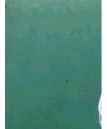 POLO RALPH LAUREN | シャツ/ブラウス