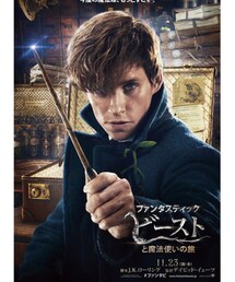 ファンタビ💛 | その他