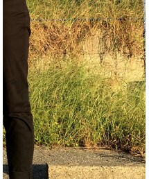 GLOBAL WORK | チノパンツ