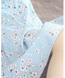 달칩 | ワンピース