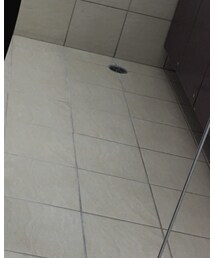 C.E | スウェット