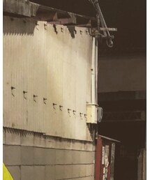 BURBERRY | ブルゾン