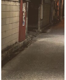 UNIVERSAL OVERALL | ベスト