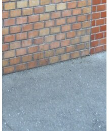 COMOLI | その他パンツ