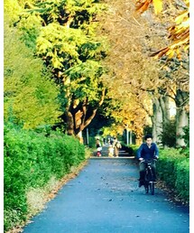 Champion | スポーツグッズ