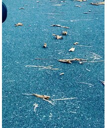 AIR JORDAN | スニーカー