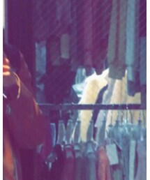 しまむら | ソックス/靴下