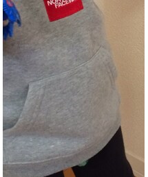 THE NORTH FACE | パーカー