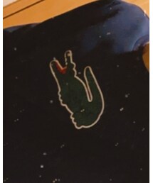 LACOSTE | スウェット