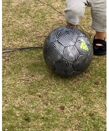 adidas | 雑貨/ホビー