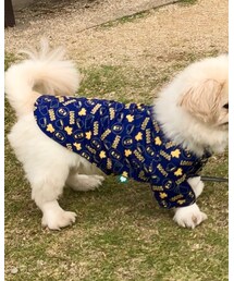 LOGOS | トップス