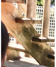 apres les cours | ニット/セーター