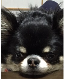 まろん | その他