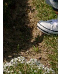 西松屋 | スニーカー