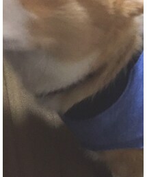 amigo | ネックレス