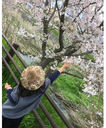 🌸 | その他