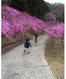 UNIQLO | レギンス/スパッツ