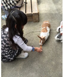 UNIQLO | タイツ/ストッキング