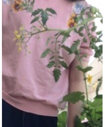 ems excite | トップス