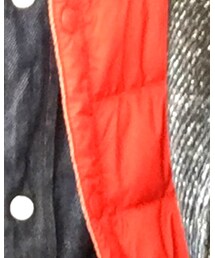 DANTON | ダウンベスト